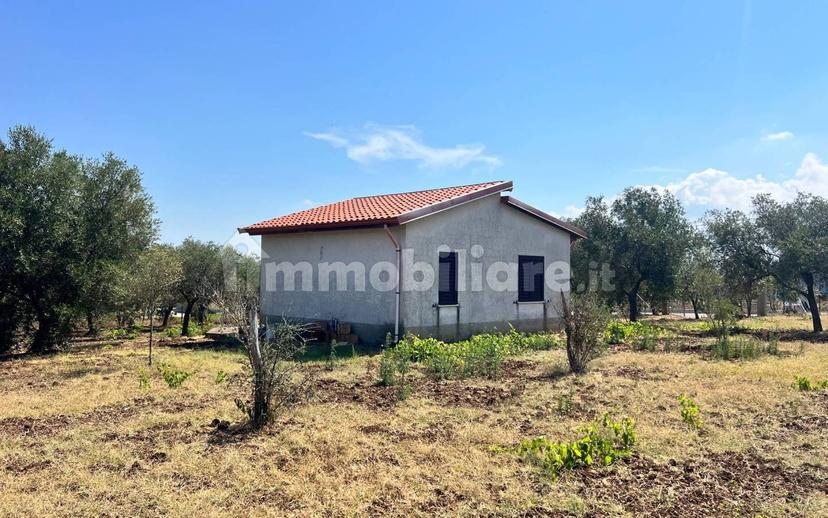 Terratetto unifamiliare Contrada Contura, Zambrone — foto 28 di 50