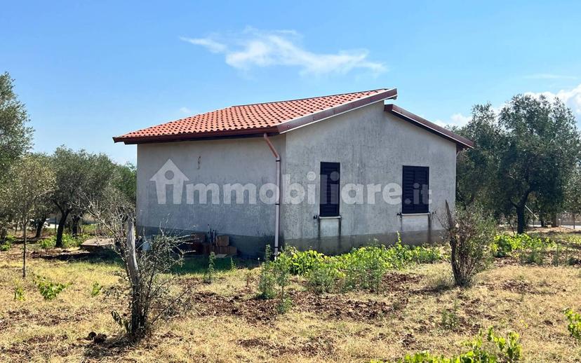 Terratetto unifamiliare Contrada Contura, Zambrone — foto 3 di 50