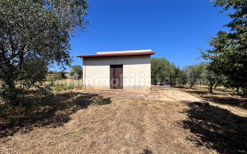 Terratetto unifamiliare Contrada Contura, Zambrone — foto 19 di 50