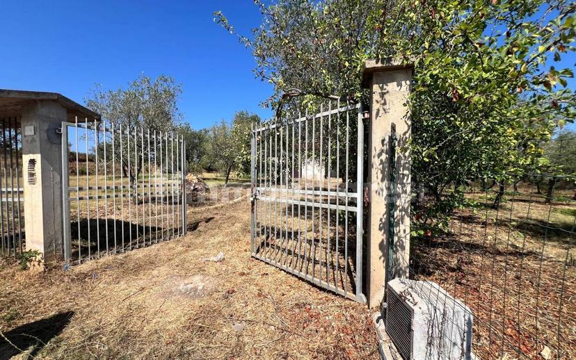 Terratetto unifamiliare Contrada Contura, Zambrone — foto 29 di 50