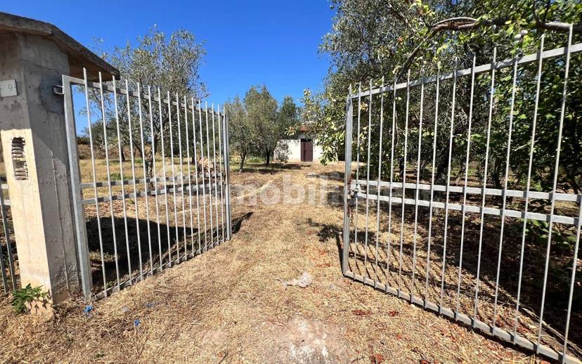 Terratetto unifamiliare Contrada Contura, Zambrone — foto 11 di 50