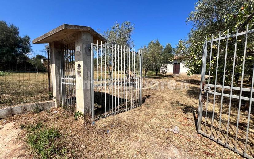 Terratetto unifamiliare Contrada Contura, Zambrone — foto 26 di 50