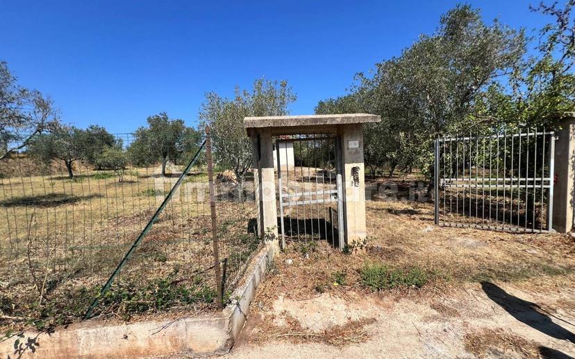 Terratetto unifamiliare Contrada Contura, Zambrone — foto 40 di 50