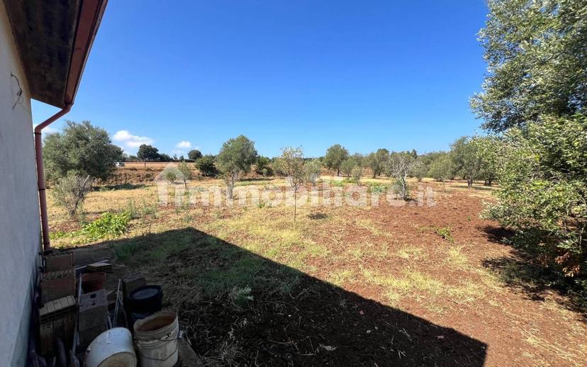 Terratetto unifamiliare Contrada Contura, Zambrone — foto 39 di 50