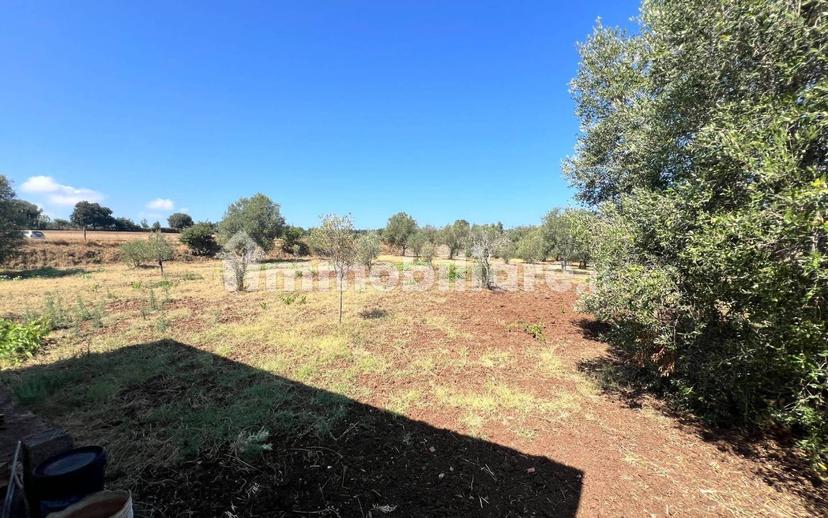 Terratetto unifamiliare Contrada Contura, Zambrone — foto 38 di 50