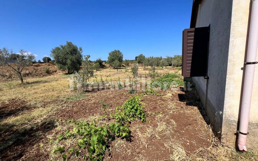 Terratetto unifamiliare Contrada Contura, Zambrone — foto 42 di 50