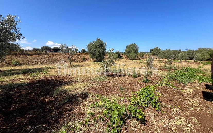 Terratetto unifamiliare Contrada Contura, Zambrone — foto 50 di 50