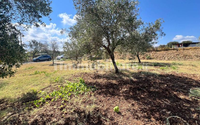 Terratetto unifamiliare Contrada Contura, Zambrone — foto 4 di 50