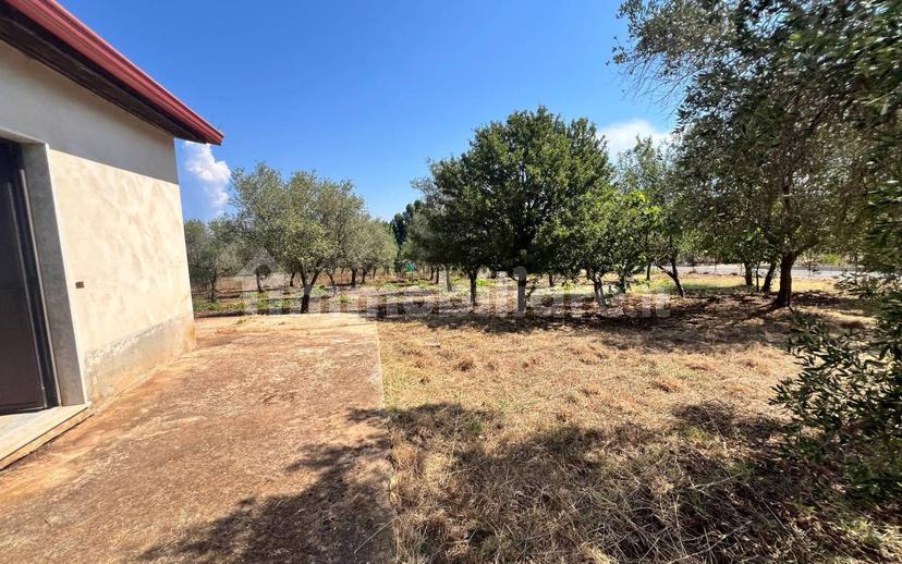 Terratetto unifamiliare Contrada Contura, Zambrone — foto 18 di 50