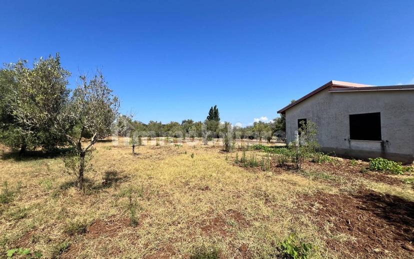 Terratetto unifamiliare Contrada Contura, Zambrone — foto 12 di 50