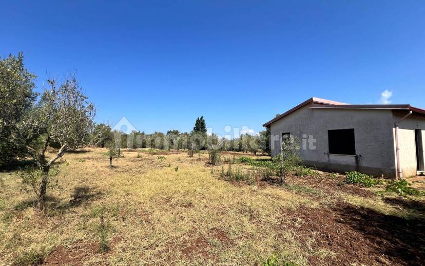 Terratetto unifamiliare Contrada Contura, Zambrone — foto 35 di 50