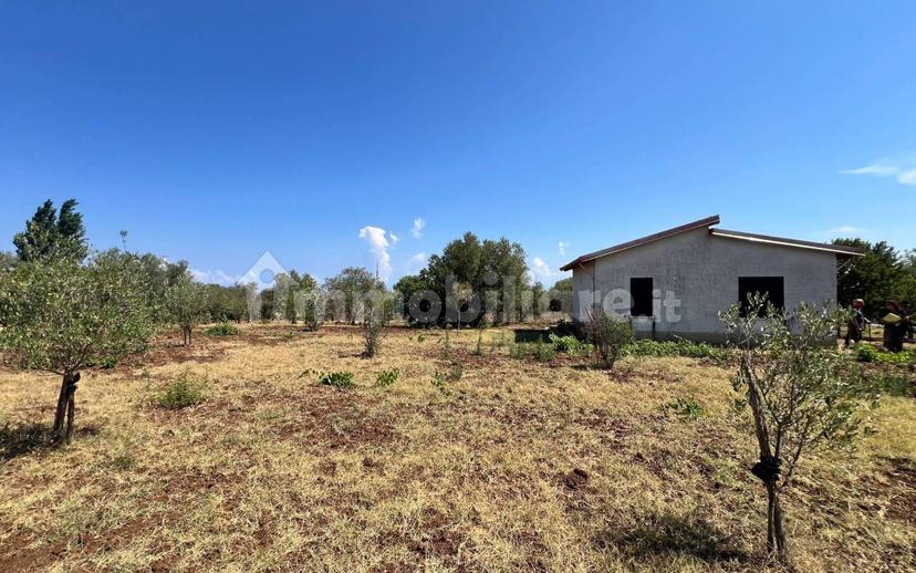 Terratetto unifamiliare Contrada Contura, Zambrone — foto 10 di 50
