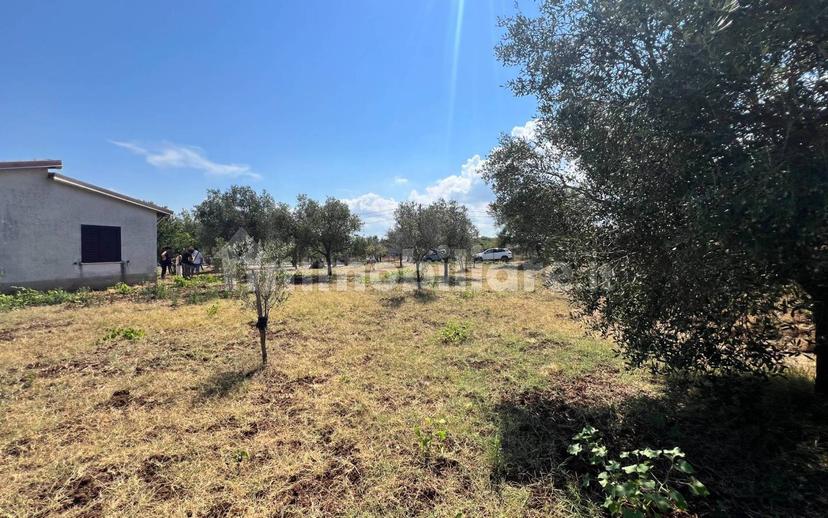 Terratetto unifamiliare Contrada Contura, Zambrone — foto 17 di 50