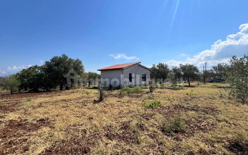 Terratetto unifamiliare Contrada Contura, Zambrone — foto 14 di 50