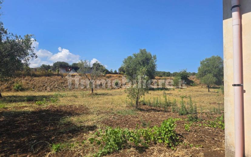Terratetto unifamiliare Contrada Contura, Zambrone — foto 27 di 50