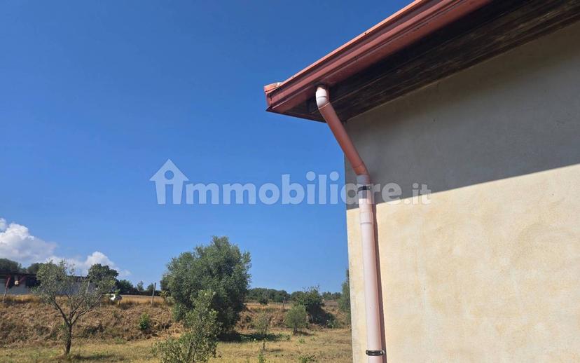 Terratetto unifamiliare Contrada Contura, Zambrone — foto 20 di 50