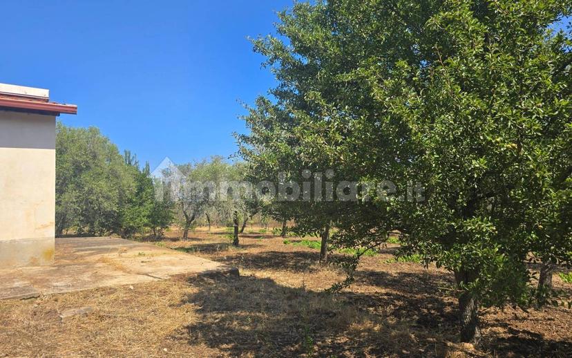 Terratetto unifamiliare Contrada Contura, Zambrone — foto 47 di 50