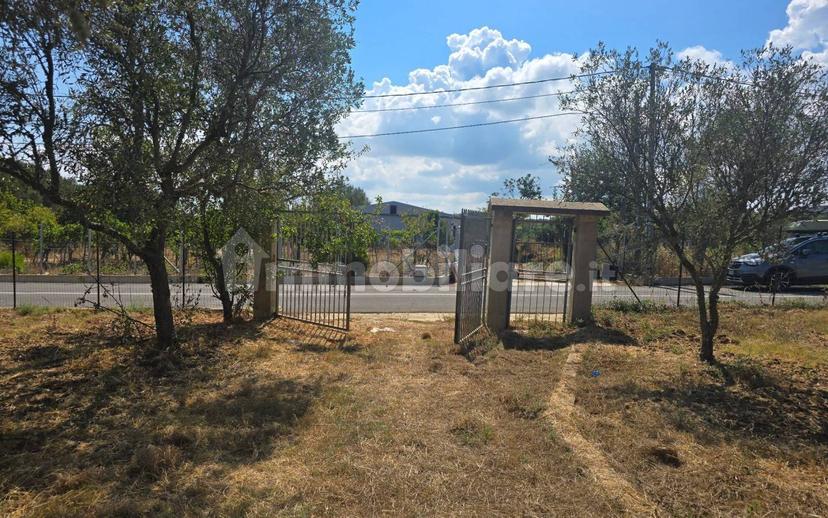 Terratetto unifamiliare Contrada Contura, Zambrone — foto 43 di 50