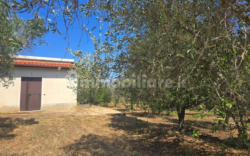 Terratetto unifamiliare Contrada Contura, Zambrone — foto 46 di 50