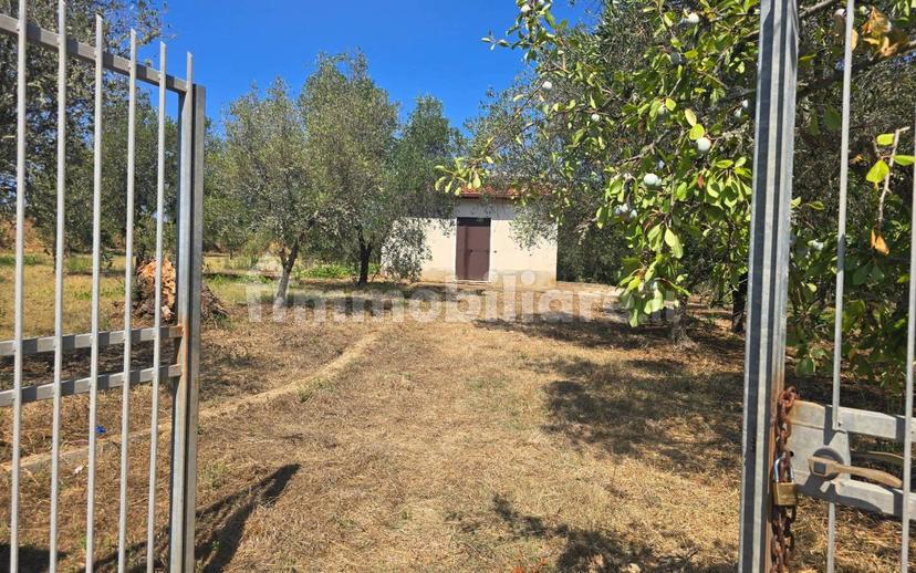 Terratetto unifamiliare Contrada Contura, Zambrone — foto 32 di 50