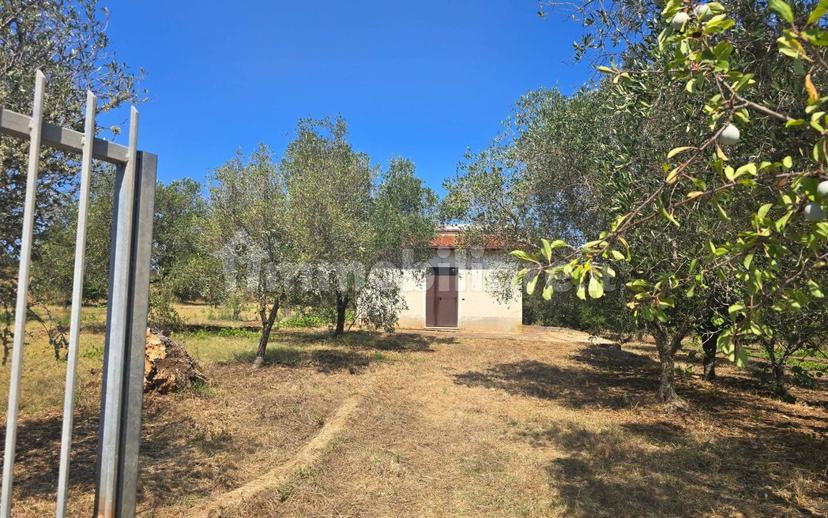 Terratetto unifamiliare Contrada Contura, Zambrone — foto 23 di 50