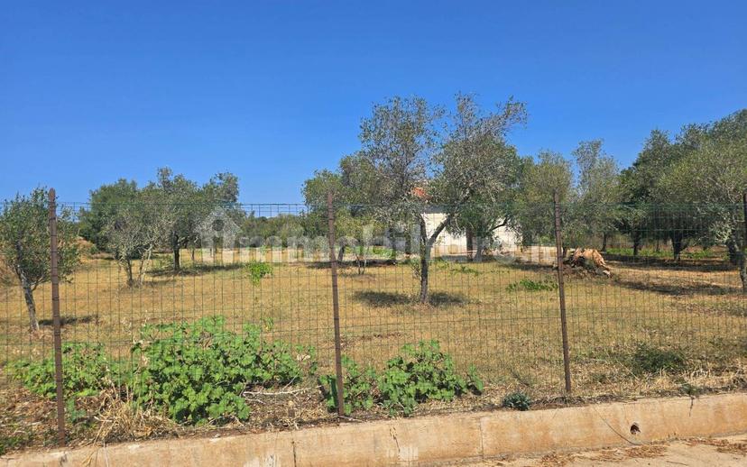 Terratetto unifamiliare Contrada Contura, Zambrone — foto 16 di 50