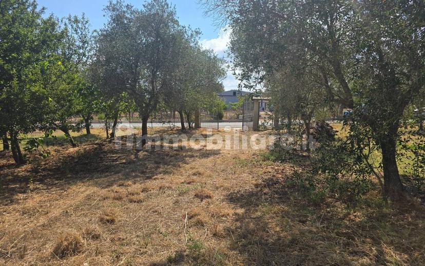 Terratetto unifamiliare Contrada Contura, Zambrone — foto 24 di 50