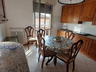 Stanza singola via Oreste Regnoli 54, Forlì — foto 2 di 9
