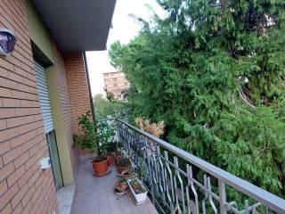 Stanza singola via Oreste Regnoli 54, Forlì — foto 8 di 9