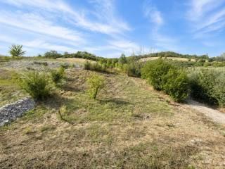 Quadrilocale via Vallumida 62, Vallumida, Montegrosso d'Asti — foto 14 di 31