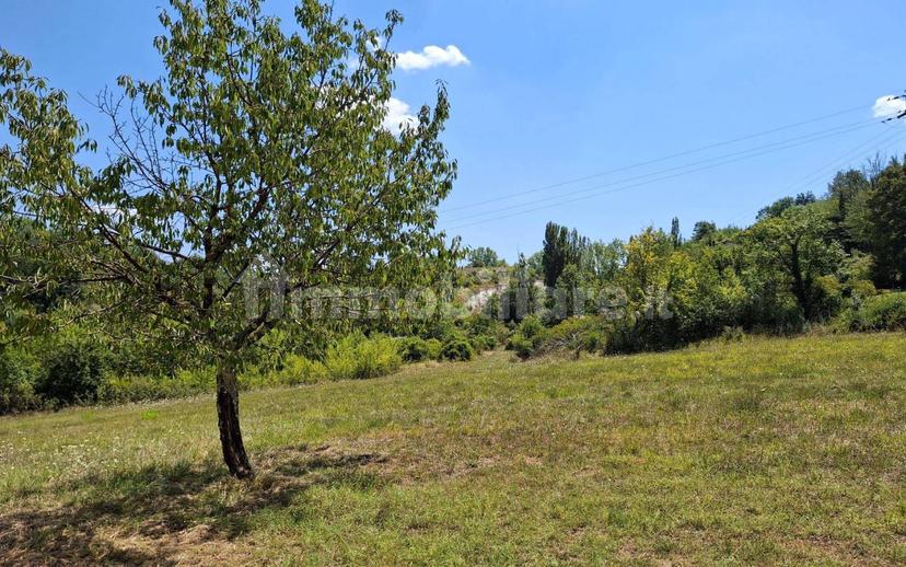 Villa bifamiliare via Oreste Leonardi 3, Torricella in Sabina — foto 6 di 18