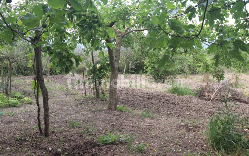 Casa colonica, da ristrutturare, 150 m², Dugenta — foto 11 di 26