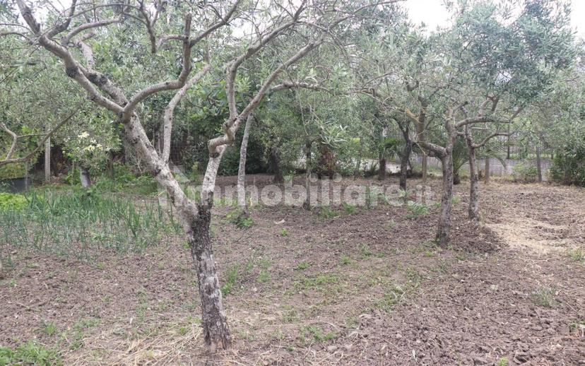 Casa colonica, da ristrutturare, 150 m², Dugenta — foto 23 di 26