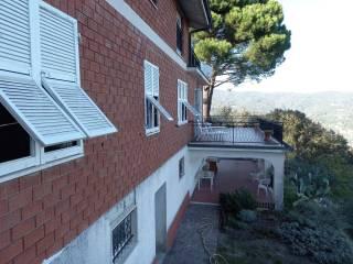 Quadrilocale via Castello 22, Follomonte, Follo — foto 11 di 25