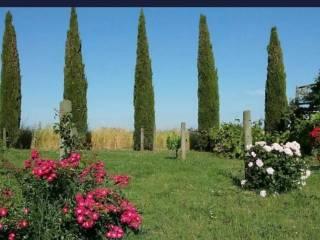Villa unifamiliare Località centro H, Capalbio — foto 5 di 18
