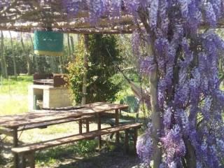 Villa unifamiliare Località centro H, Capalbio — foto 16 di 18