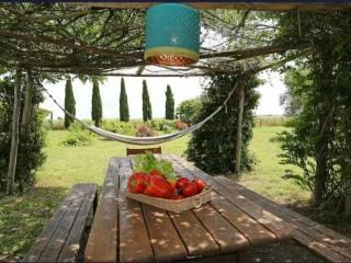 Villa unifamiliare Località centro H, Capalbio — foto 18 di 18