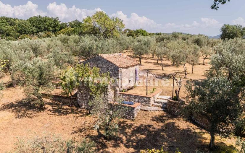 Casale via San Clemente, Collelungo, Casaprota — foto 9 di 58