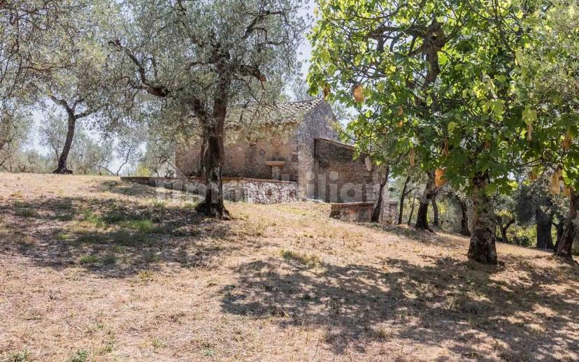 Casale via San Clemente, Collelungo, Casaprota — foto 56 di 58