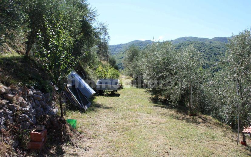 Casale Località Case Sparse Rapelle SNC, Rapelle, Antrodoco — foto 9 di 15