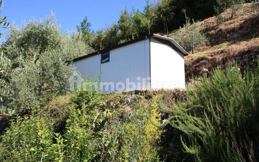 Casale Località Case Sparse Rapelle SNC, Rapelle, Antrodoco — foto 12 di 15