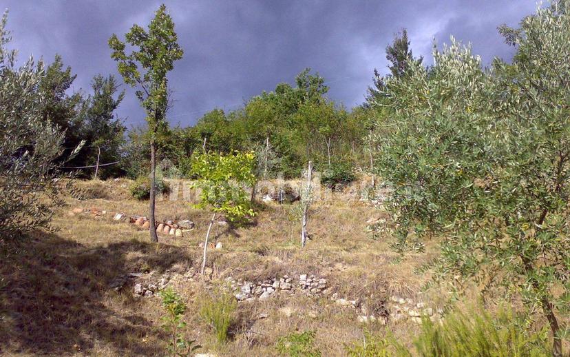 Casale Località Case Sparse Rapelle SNC, Rapelle, Antrodoco — foto 15 di 15