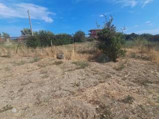 Villa unifamiliare viale delle Sorgenti, Sellia Marina — foto 39 di 50