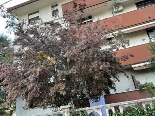 Trilocale buono stato, primo piano, Centro, Cislago — foto 24 di 33