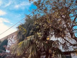 Trilocale buono stato, primo piano, Centro, Cislago — foto 14 di 33