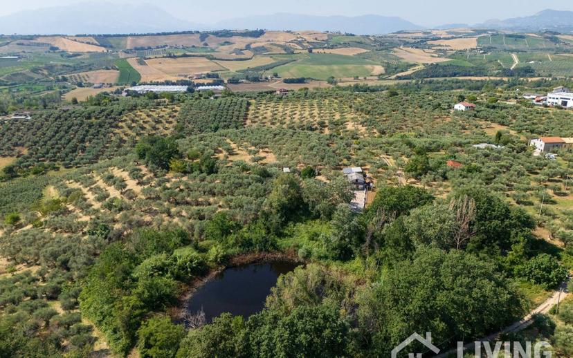 Casale Contrada Paterno 19, Loreto Aprutino — foto 33 di 48