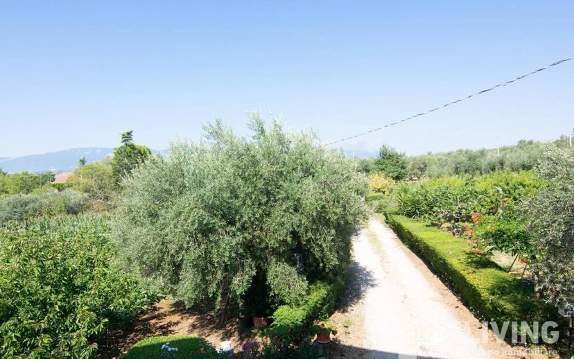 Casale Contrada Paterno 19, Loreto Aprutino — foto 29 di 48