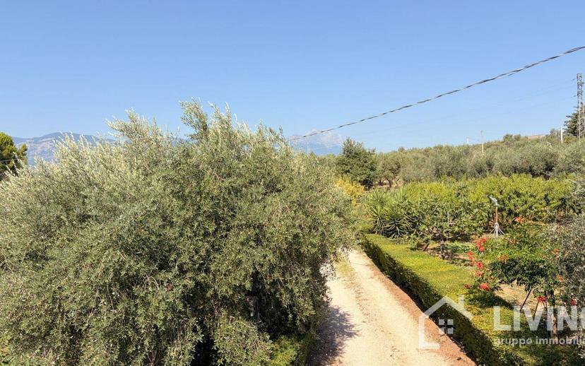Casale Contrada Paterno 19, Loreto Aprutino — foto 6 di 48