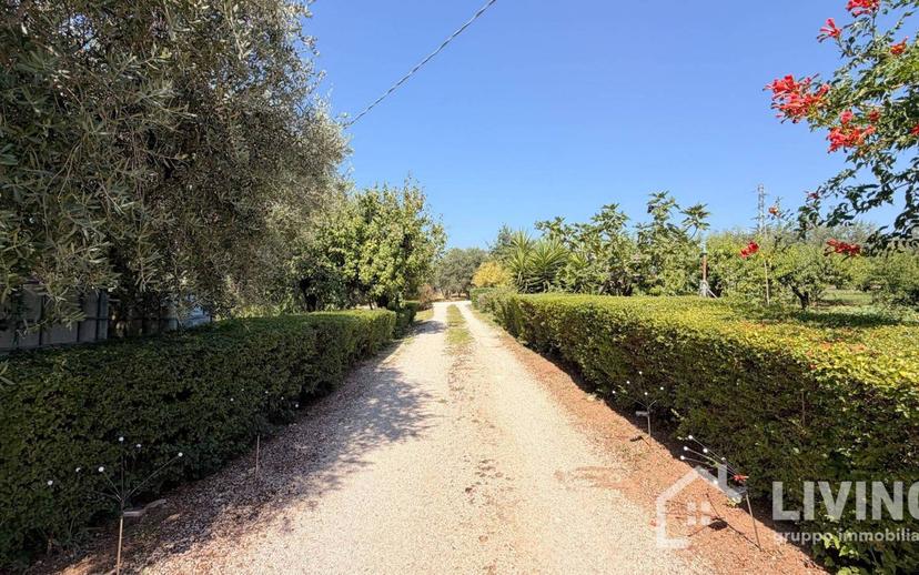 Casale Contrada Paterno 19, Loreto Aprutino — foto 19 di 48