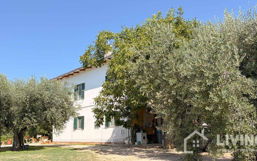 Casale Contrada Paterno 19, Loreto Aprutino — foto 17 di 48